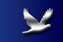 Immigration Lawyers - Attorney